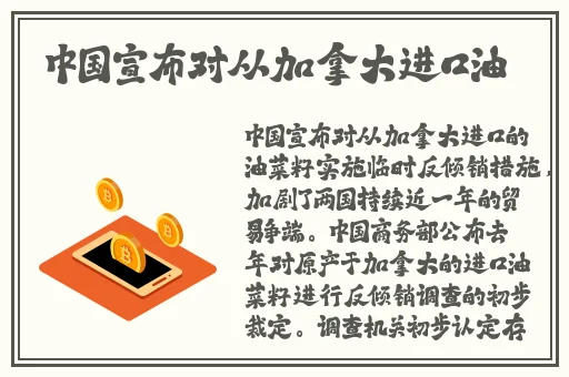 雷电将军俘虏生活
